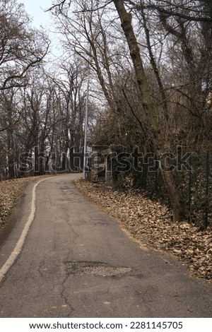 Road  in a park on a mountain with the entrance gate of a house on a cloudy day