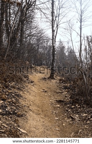 Steep  and dirt trail on a cliff in a park of a mountain on a cloudy day in winter