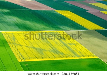 aerial view oj fields of colza