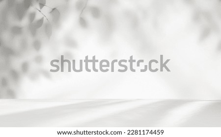 Minimalistic light background with blurred foliage shadow on a white wall. Beautiful background for presentation with with smooth floor. Royalty-Free Stock Photo #2281174459