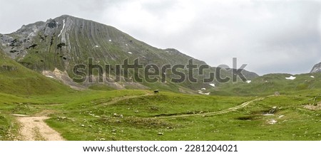 Green valley in mountains of Durmitor national park, Montenegro.