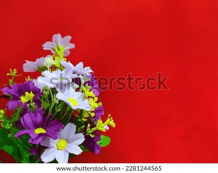 Colorful plastic daisy leaves isolated on red background.