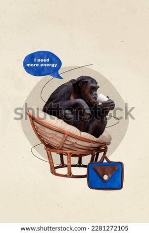 Collage artwork graphics picture of burn out chimpanzee drinking coffee need more energy isolated painting background