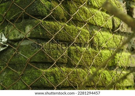 green mossy old brick wall covered by rusty wire mesh