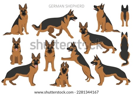 German shepherd dog  in different poses and coat colors clipart. Vector illustration Royalty-Free Stock Photo #2281344167