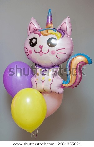 cat unicorn pink balloon on a white background