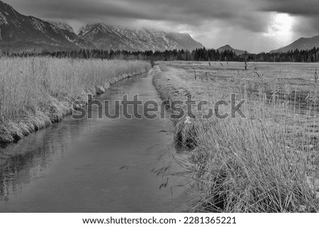 Wet meadows in the Murnauer Moos overlooking the Bavarian Alps under a sky with dramatic clouds, black and white photo, Germany, Europe