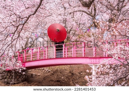 couple traveller with a red umbrella and walking over the bridge with Fuji mountain and Sakura flower background in Tokyo city, Japan Royalty-Free Stock Photo #2281401453