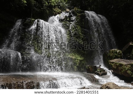 Stunning waterfall in the rainforest