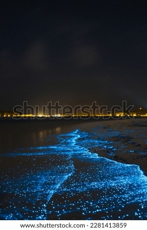 Bioluminescent glowing beach. Bio luminescence. Illumination of plankton at Maldives. Many bright particles at the beach.  Royalty-Free Stock Photo #2281413859