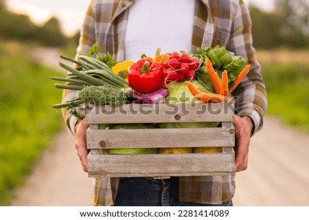 Farmer with a vegetable box in front of a sunset agricultural landscape. Man in a countryside field. Country life, food production, farming and country lifestyle concept. Royalty-Free Stock Photo #2281414089