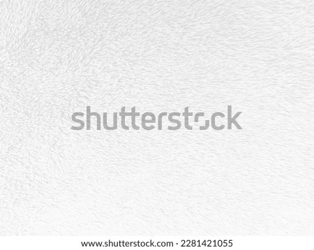 White clean wool texture background. light natural sheep wool. white seamless cotton. texture of fluffy fur for designers. close-up fragment white wool carpet.	 Royalty-Free Stock Photo #2281421055