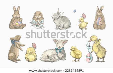 Hand Drawn Cute Easter AnimalsVector Illustrations Set. Little Rabbits, Ducks Chicken and Lamb with Ribbons and Easter Eggs Color Sketches Collection. Spring Holiday Engraving Style Drawings. Isolated Royalty-Free Stock Photo #2281436891