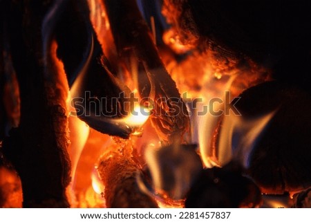 Bright fire of high temperature from firewood burns in fireplace, beauty background