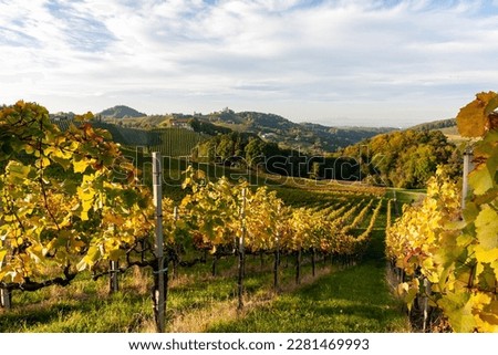 Vineyard in the Wachau, Lower Austria, Austria Royalty-Free Stock Photo #2281469993