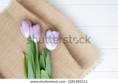 White delicate tulips on a white wooden background. Spring background with a bouquet of flowers. Top view