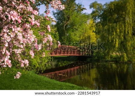 Spring blossoms in city park with bridge reflection on water, Dominion Arboretum, Ottawa, Canada Royalty-Free Stock Photo #2281543917
