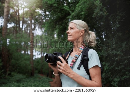 Senior woman, hiking and photography with camera in forest, nature or environment. Female hiker, tourist and travel photographer on trekking adventure, sightseeing journey or explore scenery in woods