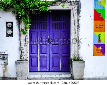 vibrant dark blue door with white walls and green plants at the top, colorful house wall with signs translates as "a whole mango", "enjoy here" and "its freshness made frappe"