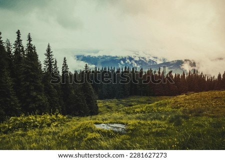 Woodland edge landscape photo. Beautiful nature scenery photography with mountains hiding in clouds on background. Idyllic scene. High quality picture for wallpaper, travel blog, magazine, article