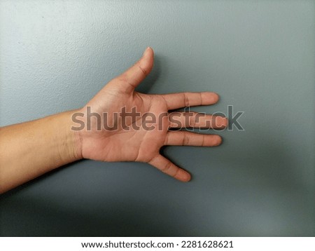 picture of my palm against the wall