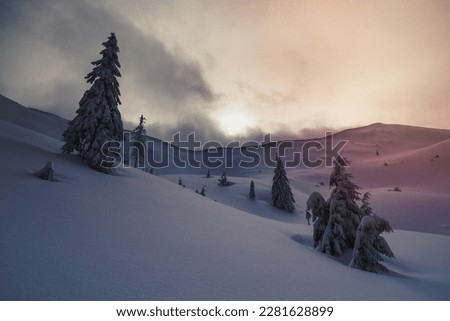 Mountain slopes with snow capped evergreen trees landscape photo. Beautiful nature scenery photography with sky on background. Idyllic scene. High quality picture for wallpaper, travel blog, magazine