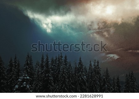 Pine trees covered with snow landscape photo. Beautiful nature scenery photography with mountains on background. Idyllic scene. High quality picture for wallpaper, travel blog, magazine, article