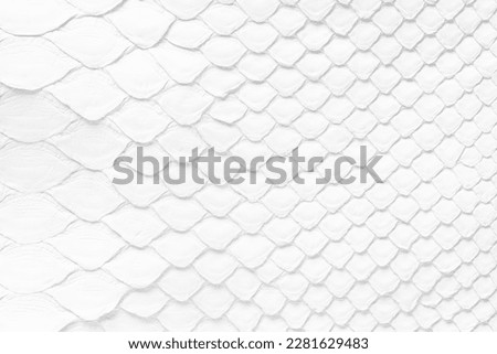 natural snake skin texture, white reptile leather as background