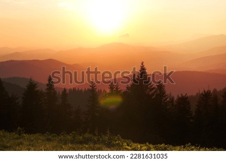 Foggy mountains and fir silhouettes with sun glares landscape photo. Beautiful nature scenery photography. Ambient light. High quality picture for wallpaper, travel blog, magazine, article