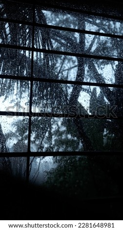 Rainy Day Picture Window View | Nature Background 