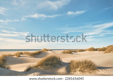 Dunes at the beach at danish coast. High quality photo Royalty-Free Stock Photo #2281656045