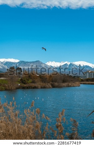 Sochi adler ornithological park with a pond and birds Royalty-Free Stock Photo #2281677419