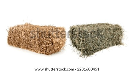 bundles of straw and hay in front of white background Royalty-Free Stock Photo #2281680451
