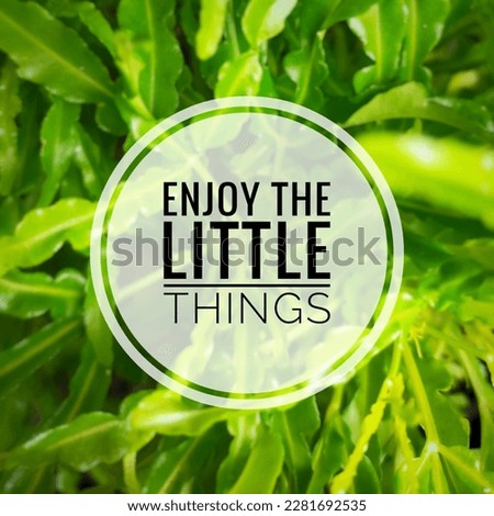 Quotes enjoy the little things with green leaf image background.