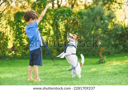 Young owner training dog to stand on hind paws. Pet dog and kid learning tricks together outdoor.  Royalty-Free Stock Photo #2281709237