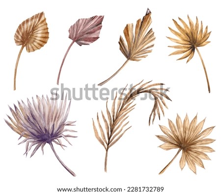 botanical watercolor illustration. Collection of colorful dried palm leaves, tropical herbarium elements, rustic floral clip art set isolated on white background