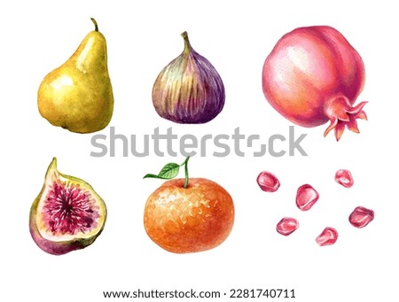 watercolor illustration. Assorted colorful tropical fruits collection. Food clip art set isolated on white background. Hand drawn design elements