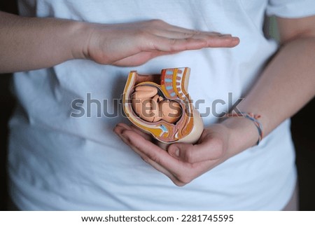A skilled doula cradles a plastic model of an embryo, symbolizing her expertise in supporting expectant mothers. The Art of Midwifery: A Doula's Gentle Touch Royalty-Free Stock Photo #2281745595
