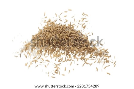 Paddy Rice grain fly in mid air. Yellow Golden Paddy Rice falling scatter, explosion float in shape form line group. White background isolated freeze motion high speed shutter Royalty-Free Stock Photo #2281754289