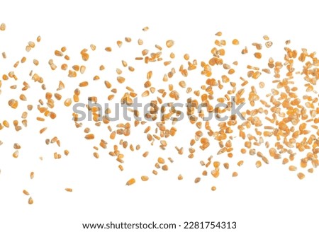 Corn dried seed grain fly in mid air. Yellow Golden corn seed falling scatter, explosion float in shape form line group. White background isolated freeze motion high speed shutter