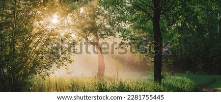 Scenic sunny green landscape. Scenery of morning nature in sunlight. Trees silhouettes on sunrise. Sunbeams and lens flare on foliage with copy space. Bright sun shines through trees leaves on sunset. Royalty-Free Stock Photo #2281755445