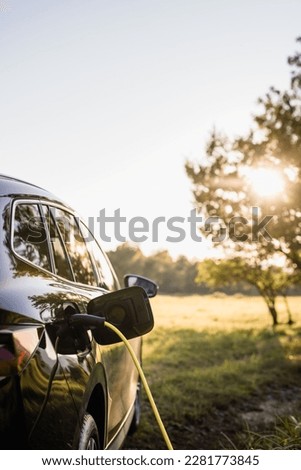 Power cable connected with a charger plugged into a black electric car, sun, and tree in the background, close up Royalty-Free Stock Photo #2281773845