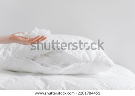 cropped shot of female hand holding and showing fluffy fiberfill from pillow on white background with copy space, hypoallergenic stuffing, comfort sleeping concept Royalty-Free Stock Photo #2281784451