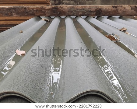 Rainwater and dry leaves accumulated on the roof.