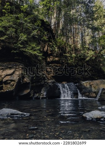 The small waterfall in a forest Carpathian and the pond below it are in greenery.