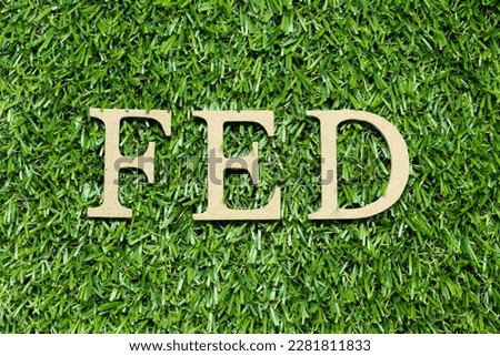 Wood alphabet letter in word FED on green grass background