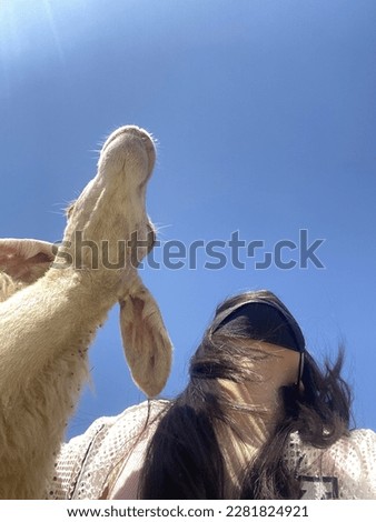 Goat and me . Best friend forever