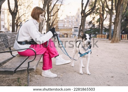Full length view of happy woman sitting on the street bench at sunset and looking at the screen of device with happy smile while using smartphone during the walking with the dog