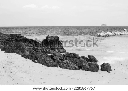 rocks on the beach monochrome picture 