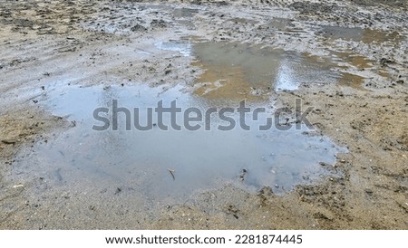 puddle on the ground on a rainy day